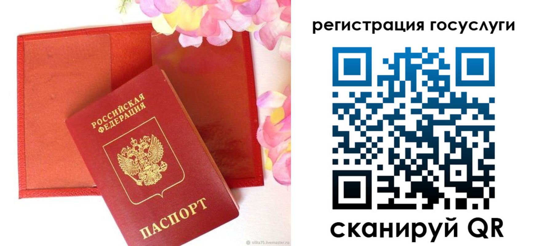 временная регистрация госуслуги в Мончегорске