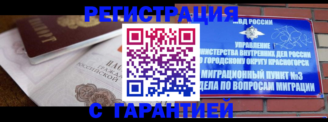прописка 2025 в Мончегорске